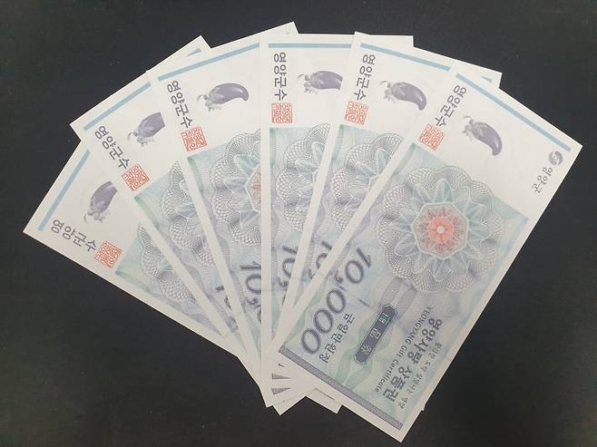 경북도가 25년 지역사랑상품권 발행지원사업비를 확보했다고 밝혔다. 사진은 영양사랑상품권.