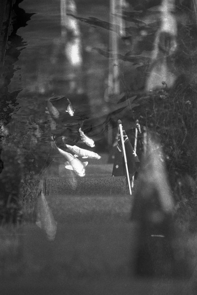 정춘산의 사진 작품. 유엔기념공원에서 촬영한 것들이다. 작가 제공