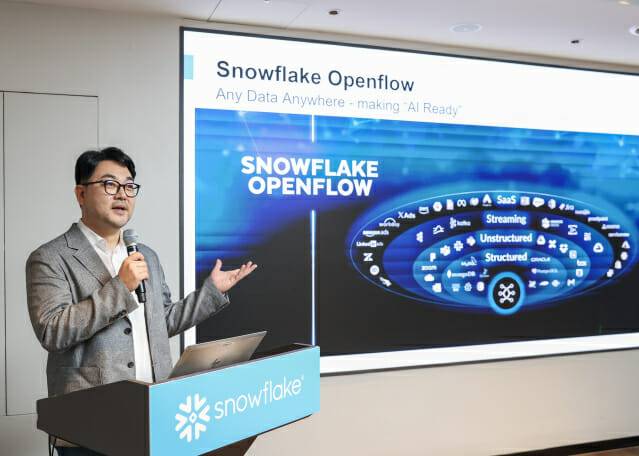 스노우플레이크 루이 리 세일즈 엔지니어링 전무. (사진=스노우플레이크)