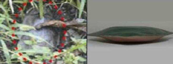 북한의 나뭇잎 지뢰가 매설된 모습(왼쪽)과 나뭇잎 지뢰 모형. /육군참모본부