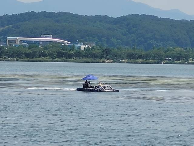 ▲ 최근 경포호수에 수초가 떠오른 가운데 강릉시가 지난 18일부터 수초 제거선을 띄워 수초 제거 작업을 벌이고 있다.