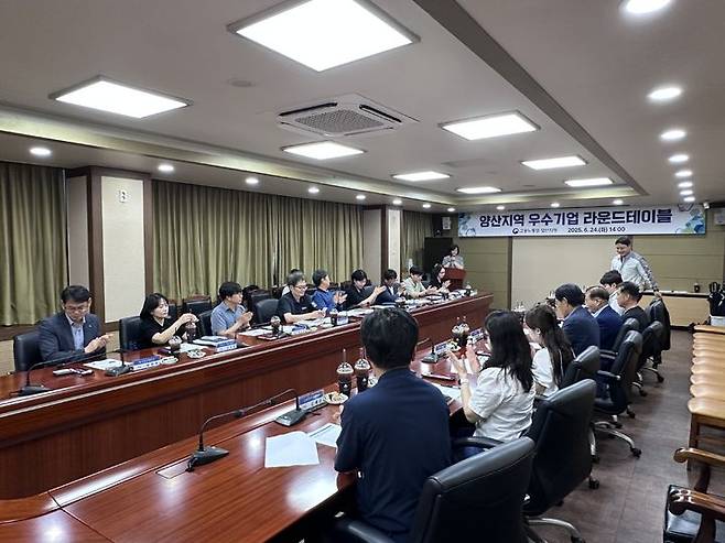 [양산=뉴시스] 고용노동부 양산지청이 양산지역 우수기업 라운드테이블 을 개최하고 있다. (사진=양산지청 제공) 2025.06.24. photo@newsis.com *재판매 및 DB 금지