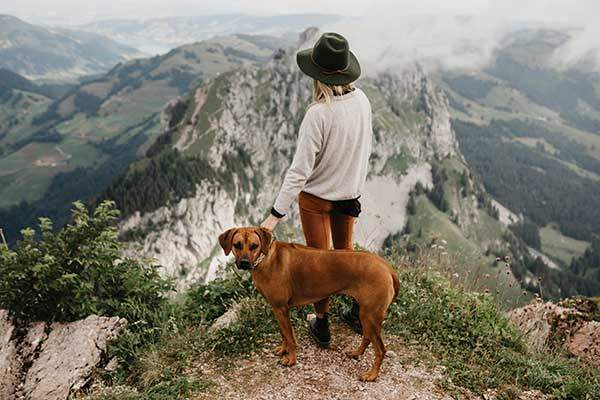 서구에선 반려견과 함께 산행하는 게 자연스러운 문화다. 사진 게티이미지코리아.