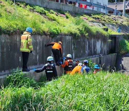 잡초 뽑던 노인 일자리 참여자, 5ｍ 아래로 추락해 숨져 (장수=연합뉴스) 2025년 5월 9일 오전 10시 24분께 전북 장수군 천천면 한 다리 인근에서 노인 일자리 사업에 참여해 잡초를 뽑던 70대가 5ｍ 아래 도랑으로 떨어져 숨졌다. 당시 사고 현장. [전북자치도소방본부 제공. 재판매 및 DB 금지]