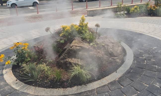 안개분수 [진도군 제공·재판매 및 DB 금지]