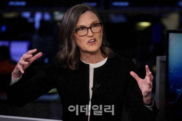 캐시 우드 아크인베스트먼트 최고경영자(CEO).(사진=로이터)
