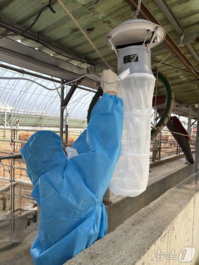 충북보건환경연구원 모기 감시 사업.(연구원 제공. 재판매 및 DB금지)