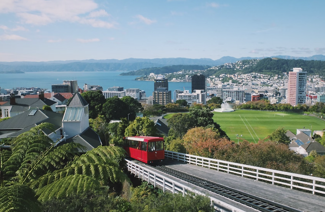 뉴질랜드 수도 웰링턴. 언스플래쉬