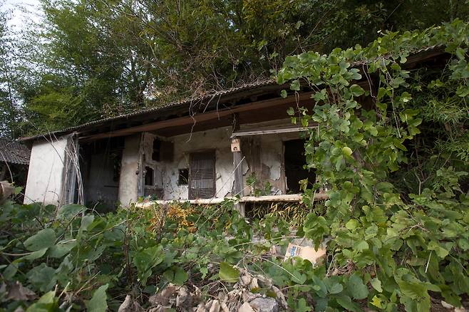 경남 고성군의 국도변에 있는 빈집 주변으로 칡넝쿨이 덮여 있다. 2018년 9월/ 조인원 기자