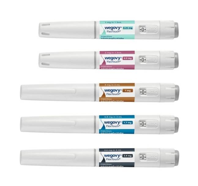 지난해 10월 국내에 출시된 비만치료제 위고비. 노보노디스크 제공