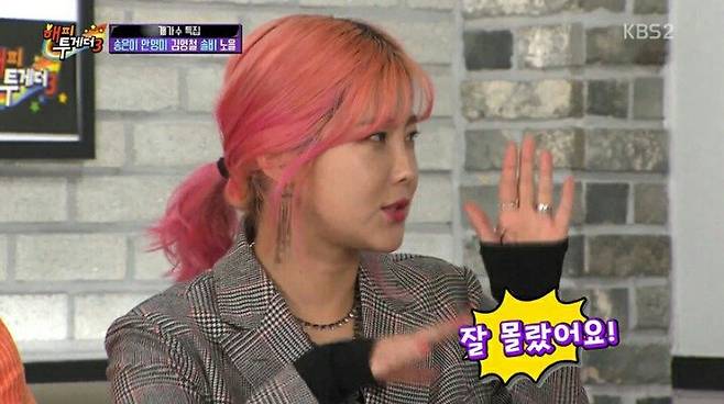 고려대학교에 가서 연고전이라고 말한 솔비