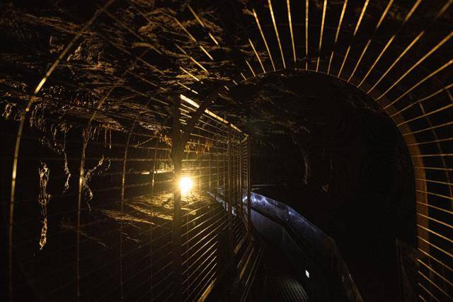 천곡황금박쥐동굴의 가지굴 저승굴.