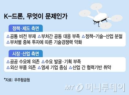 K 드론, 무엇이 문제인가/그래픽=김지영