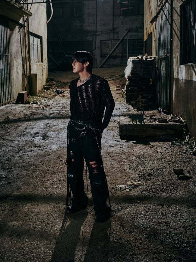 빅히트 뮤직 제공