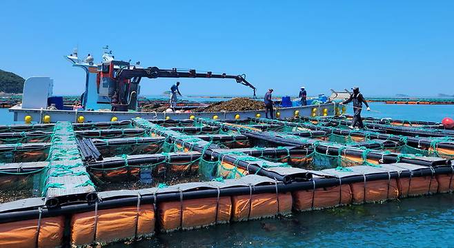 전남 완도 전복 양식장. (사진=전남도 제공) *재판매 및 DB 금지