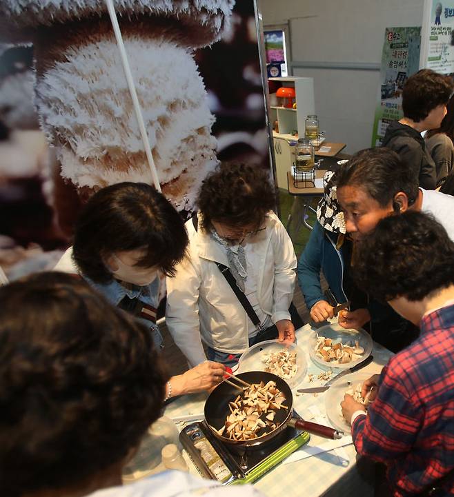 [강릉=뉴시스] 경기도 의정부우리음식연구회 회원들이 25일 오후 강릉시 성산면 지암길(송암리) 243 강릉표고버섯농장에서 직접 손으로 딴 송이맛 표고버섯을 즉석에서 굽고 있다.(사진=강릉표고버섯농장 제공)photo@newsis.com *재판매 및 DB 금지