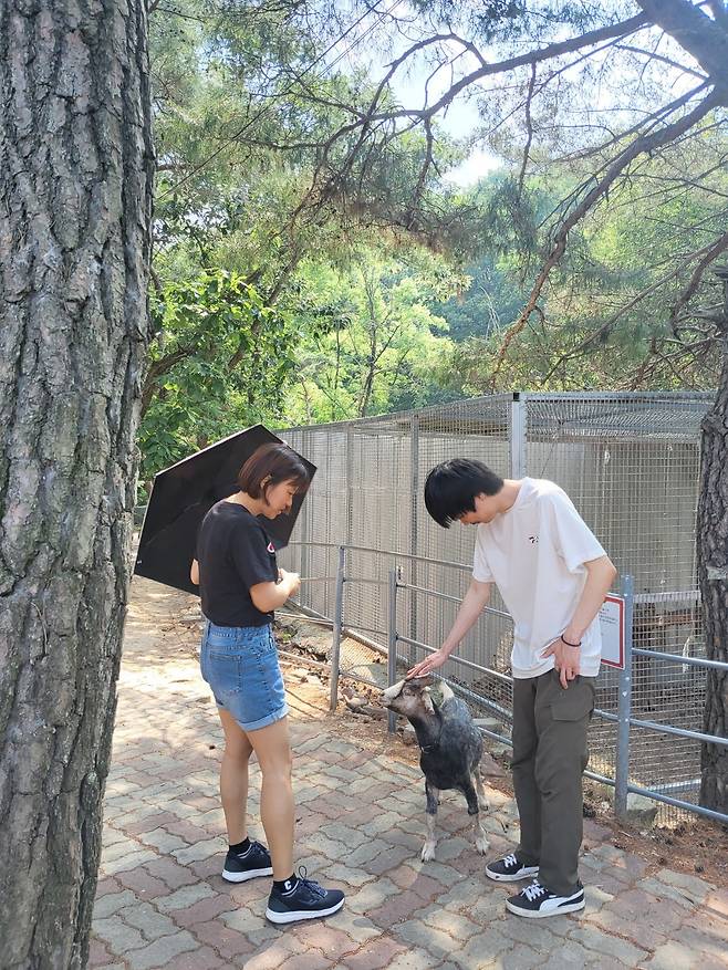 동물과 함께한 따뜻한 순간, 쥬쥬동산에서.