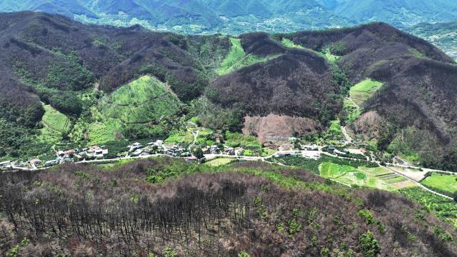 26일 오후 산청군 시천면 중태마을의 산림이 지난 3월21일 발생한 산불로 시커멓게 탄 채 그대로 남아 있다.주민들은 장마와 태풍으로 인한 산사태 발생을 우려하고 있다./김승권 기자/
