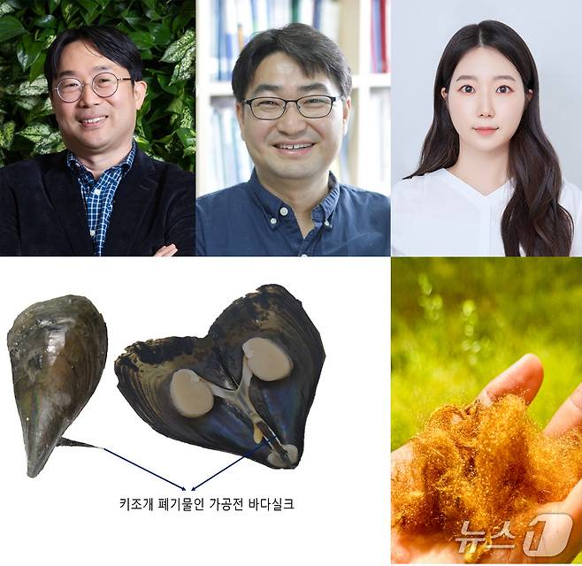 포스텍 연구팀이 국내 연안에서 생산되는 키조개를 활용해 고대 황제들이 사용한 최고급 섬유의 비밀을 밝혀냈다. 왼쪽부터 황동수.이기라.최지민 교수.(포스텍 제공, 재판매 및 DB금지) 2025.6.26/뉴스1