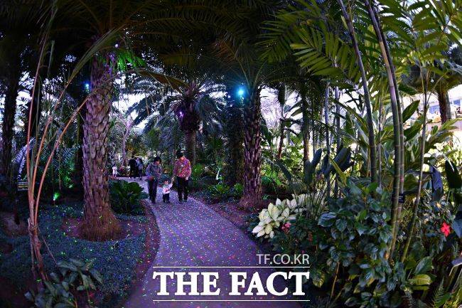 부천호수식물원 수피아에서 시민들이 야간 개장을 즐기고 있다./부천시