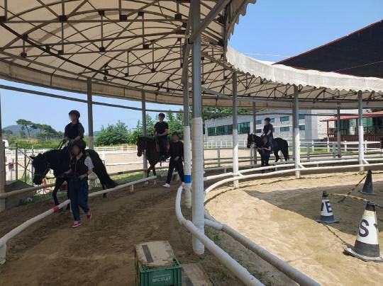 홍성군승마장에서 학생들이 승마 체험프로그램에 참여하고 있다. 홍성군 제공.