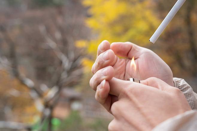 게티이미지코리아