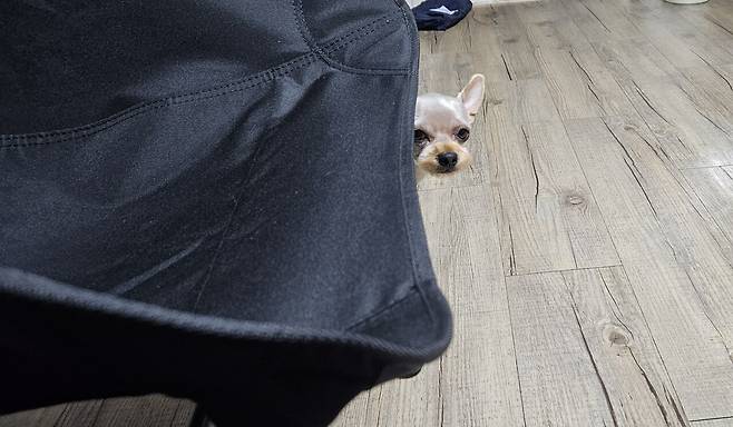 20250625_192156.jpg 저녁 숯불바베큐 치킨에 한잔