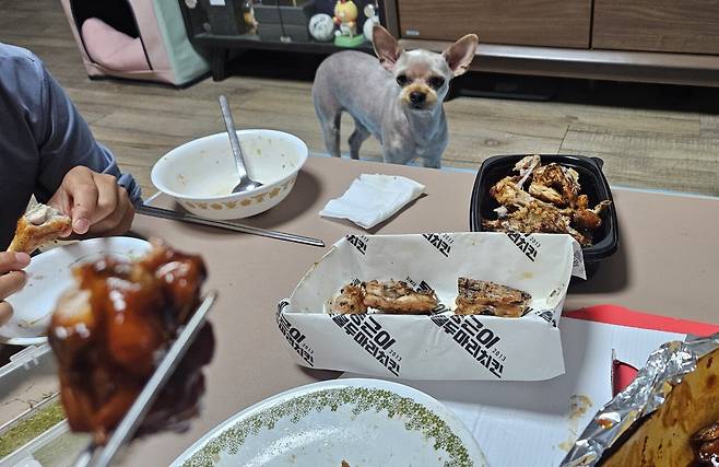 20250625_192209.jpg 저녁 숯불바베큐 치킨에 한잔