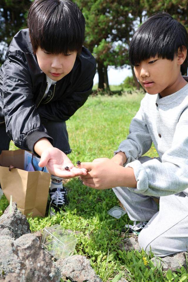 25일 제주 서귀포시 하원동 공동목장에서 제주테크노파크가 인공증식한 멸종위기 야생생물 애기뿔소똥구리를 어린이들이 방사하고 있다. 제주테크노파크 제공