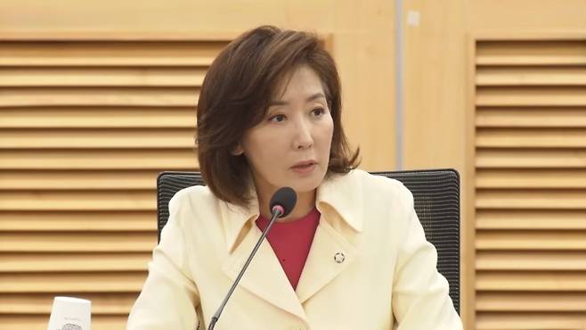 나경원 국민의힘 의원이 26일 오전 서울 여의도 국회 의원회관에서 '이재명정권 외교·안보 노선, 어디로 가는가' 긴급토론회를 연 자리에서, 발언하고 있다. (유튜브 캡처)