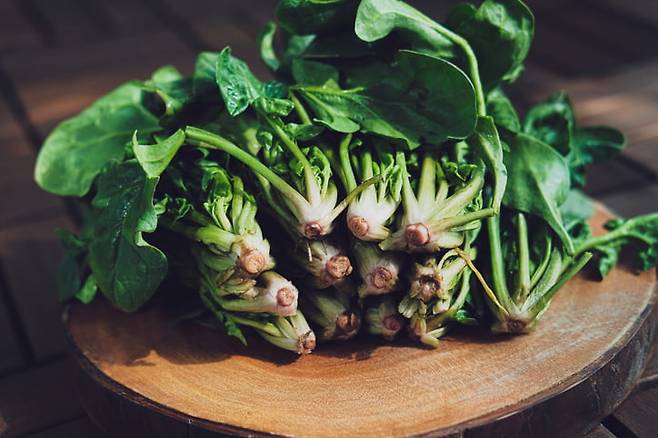 사진=게티이미지뱅크