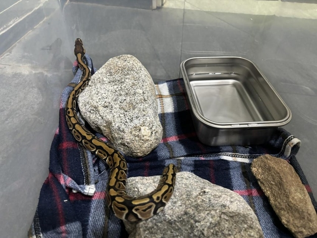 [사진 = 국립공원공단 북부보전센터]