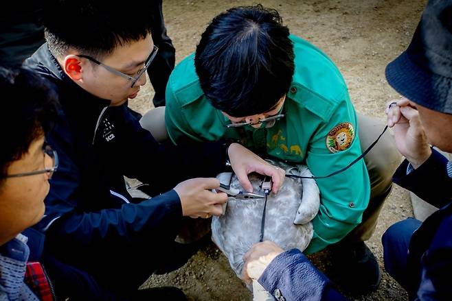 에버랜드 큰고니 / 사진=삼성물산