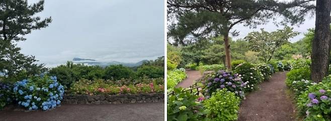 휴애리 자연생활공원 / 사진=홍지연 여행+ 기자