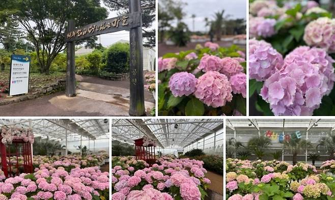 휴애리 자연생활공원 / 사진=홍지연 여행+ 기자