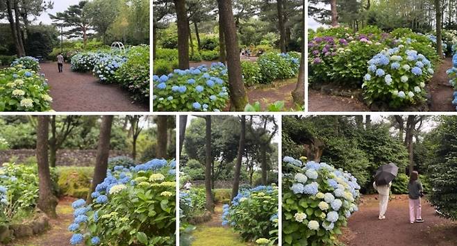 휴애리 자연생활공원 / 사진=홍지연 여행+ 기자