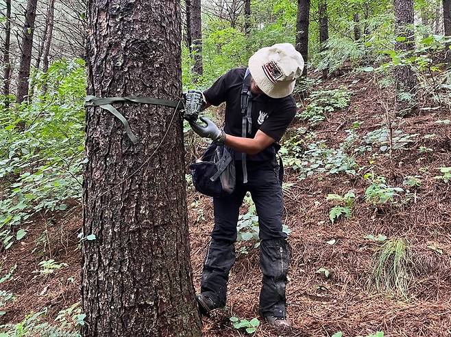 [서울=뉴시스] 한국사향노루보호협회의 사향노루 서식지 모니터링 (사진=국가유산청 제공) 2025.06.26. photo@newsis.com *재판매 및 DB 금지
