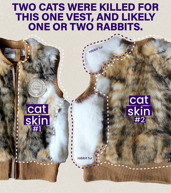 [Collective Fashion Justice 인스타그램 캡처]