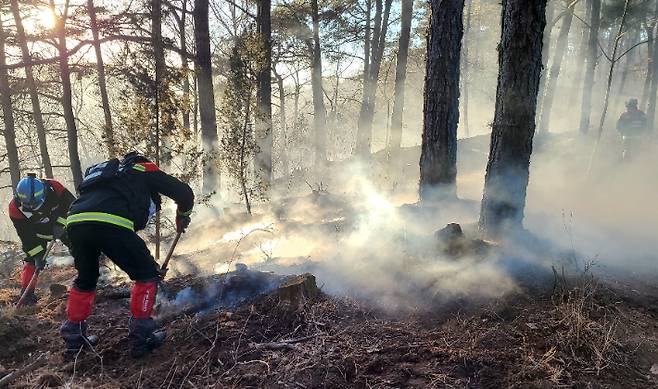 산불 진화 모습. 전라남도 제공