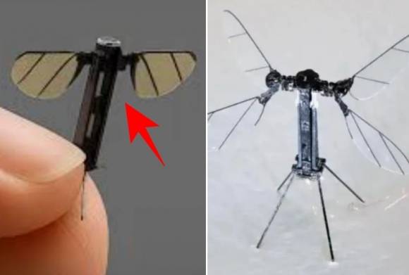 중국 연구진이 모기의 몸집과 외형을 꼭 닮은 초소형 정찰 드론을 공개했다. 중국 국방과학기술대학(NUDT) 제공