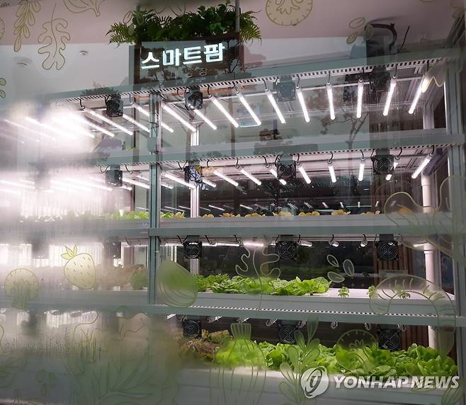 스마트팜 [연합뉴스 자료사진]