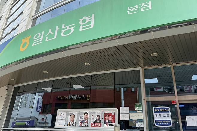 ▲ 고양시 일산서구 일산동 일산농협 본점 전경.