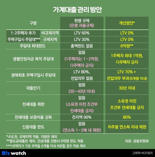 이재명 정부 첫 부동산 정책, 가계대출 관리 방안/그래픽=비즈워치