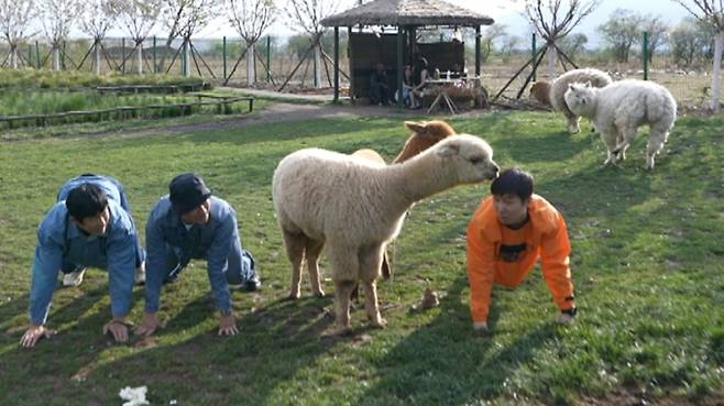 ‘태어난 김에 세계일주4’ (제공: MBC)&nbsp;