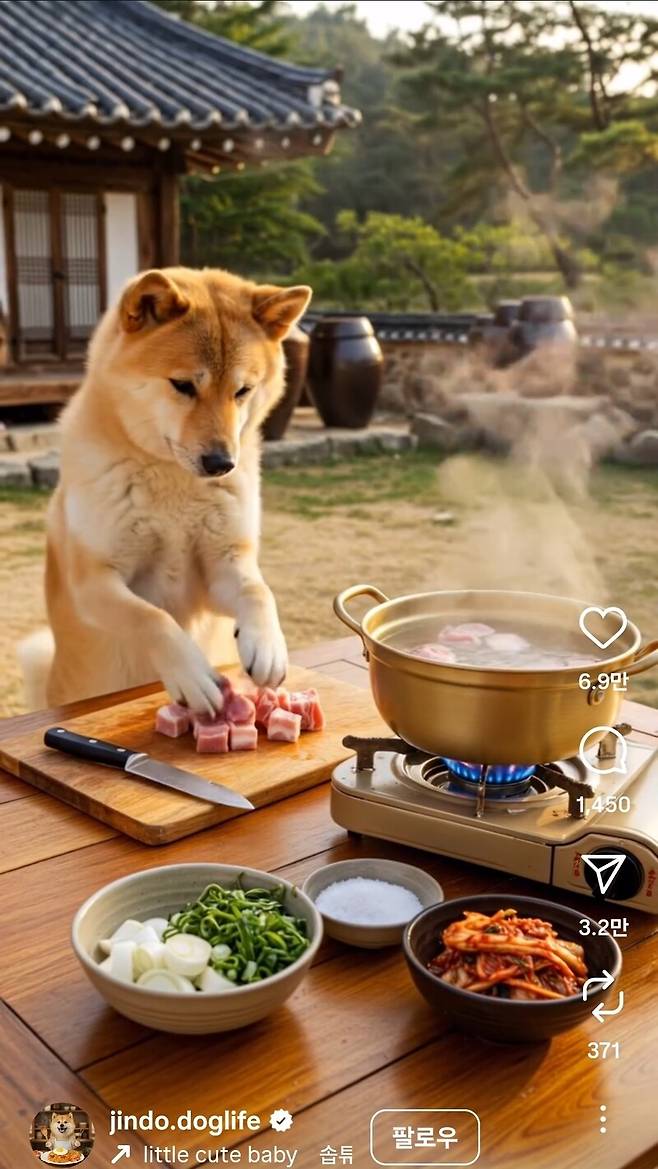 인스타그램 계정에 등장한 ‘요리하는 진돗개’. 영상 20개만으로 3만4천명의 팔로어를 확보하는 등 인기몰이 중이다. 장선희 제공