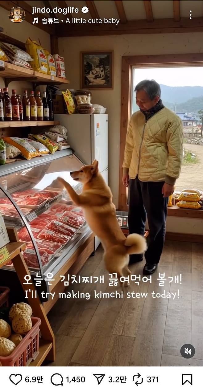 인스타그램 계정에 등장한 ‘요리하는 진돗개’. 영상 20개만으로 3만4천명의 팔로어를 확보하는 등 인기몰이 중이다. 장선희 제공