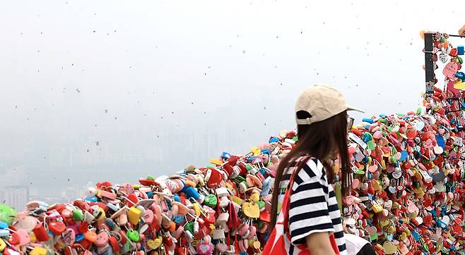 27일 서울 남산공원 전망대 앞으로 러브버그가 날아다니고 있다. 연합뉴스