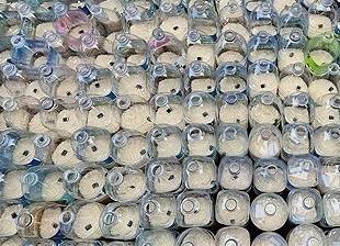 사진은 기사와 직접 관련이 없음. 쌀이 든 페트병. 연합뉴스