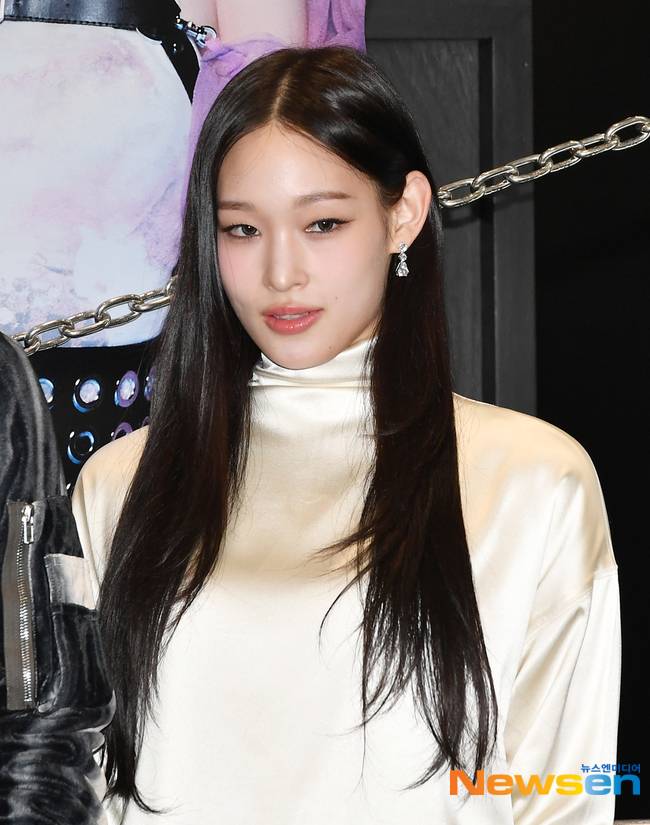 올데이 프로젝트 애니 /사진=뉴스엔DB