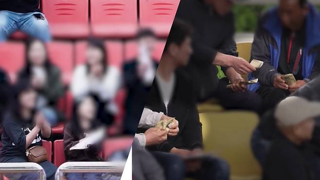 (좌) 소싸움 경기를 관람 중인 미성년자, (우) 경기 직후 금전 거래를 하는 관중들 [동물해방물결 유튜브 캡처]